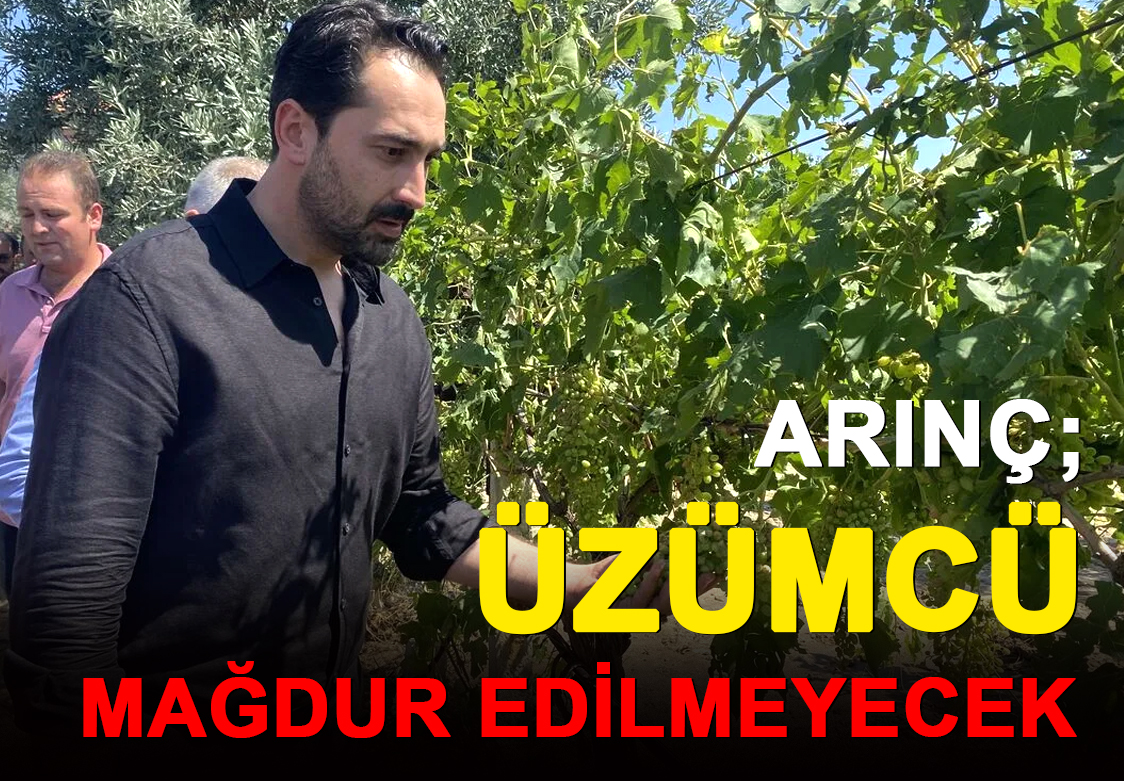 ARINÇ, ÜZÜMCÜ MAĞDUR EDİLMEYECEK