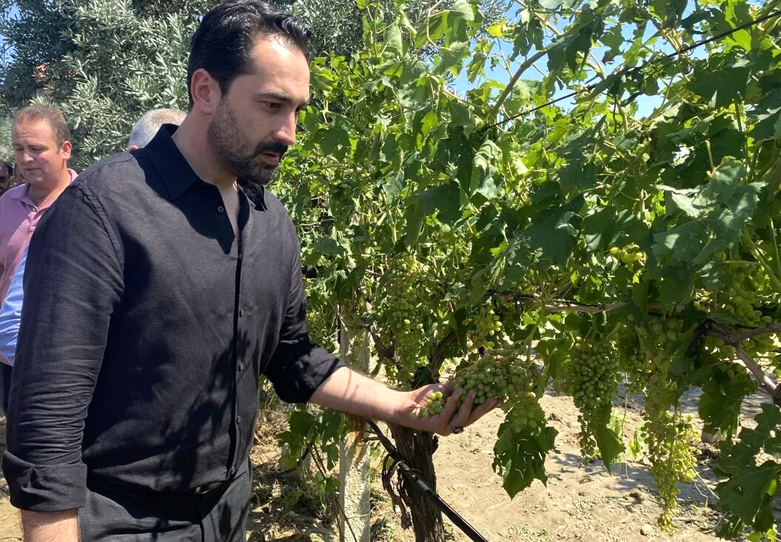 ARINÇ, ÜZÜMCÜ MAĞDUR EDİLMEYECEK